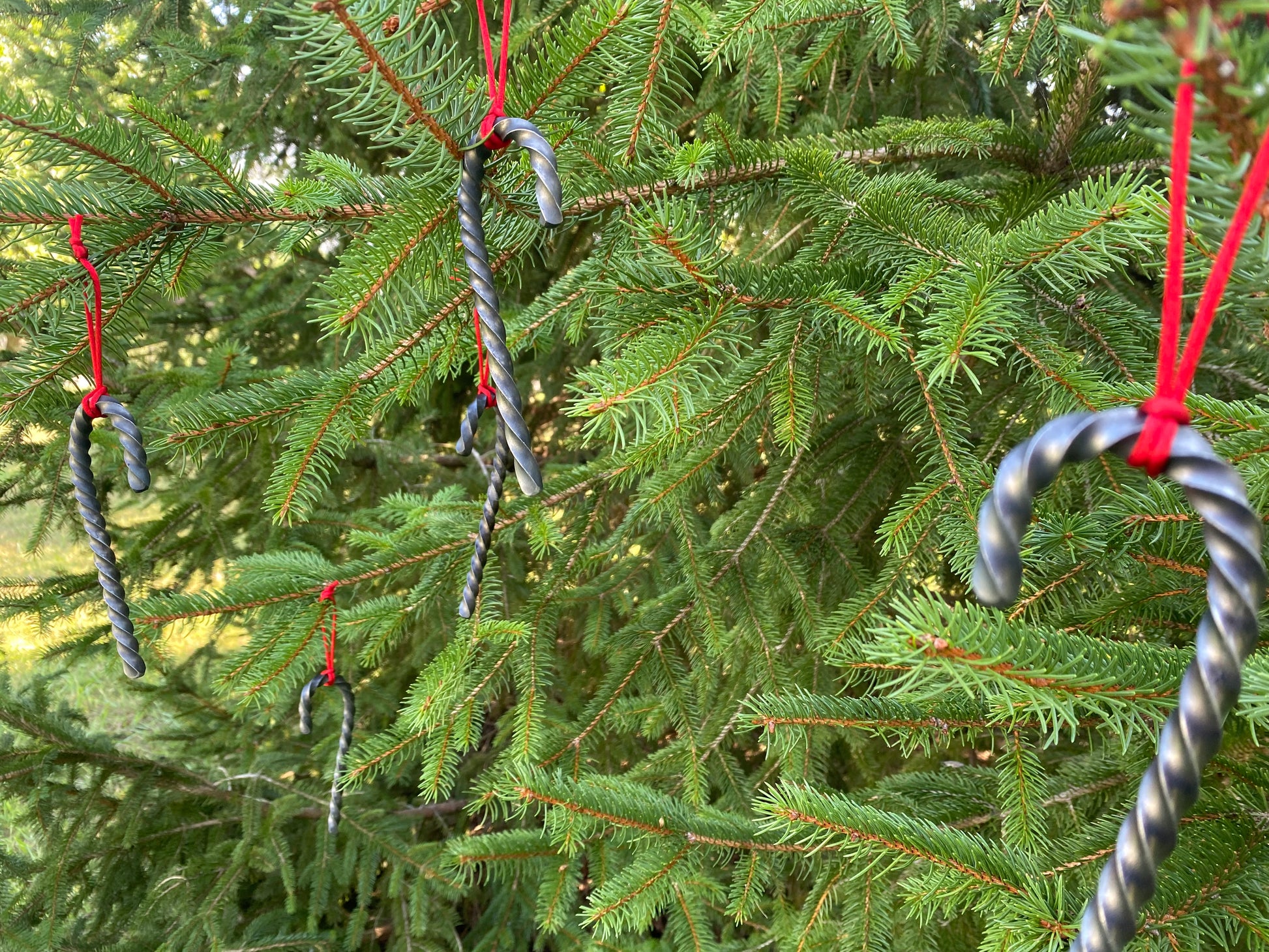 Hand Forged Twisted Steel Candy Cane Ornaments hanging from a red cord in a tree. Hutton Forge.
